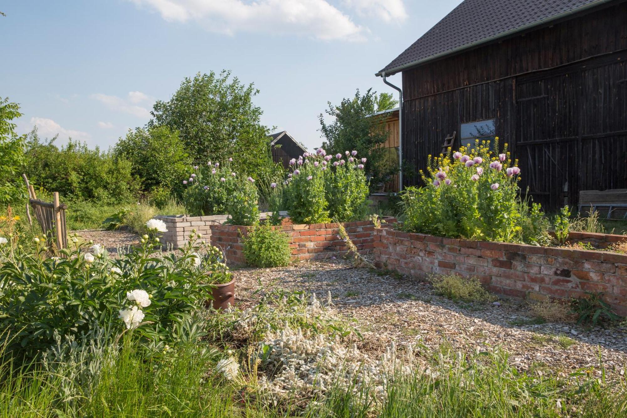 Alte Flachsfarm Cottbus Extérieur photo